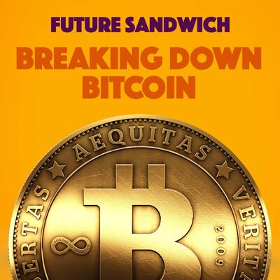 Breaking Down Bitcoin