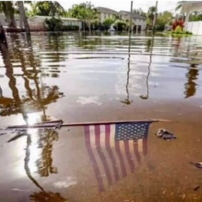 "'This Episode is Not Not Chock-Full of Non-'Disinformation'. (Or IS It?)"