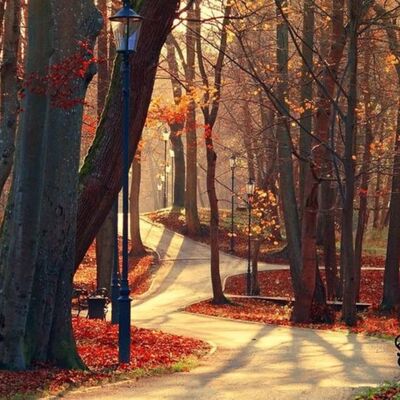 世界上最顶级的心理学：拒绝精神内耗，摆脱强迫抑郁