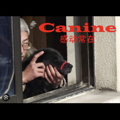  跑题的年度硬件（下） 