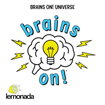 A big update about the Brains On Universe