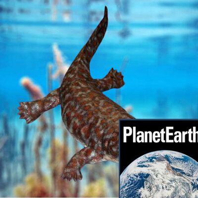 Early tetrapods, upland rivers, North Anatolian Fault - Planet Earth Podcast - 12.09.04
