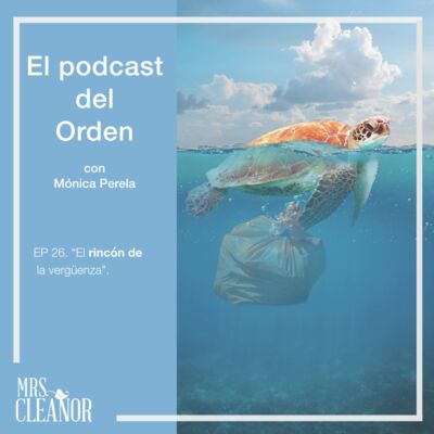 Ep 26.El rincón de la vergüenza