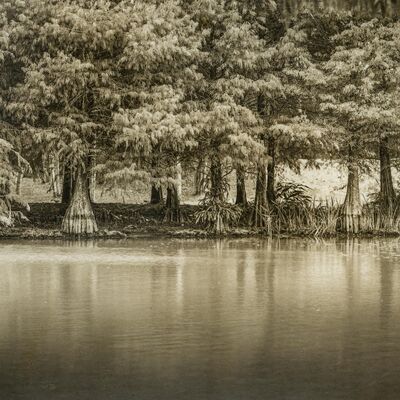 S3EP5 古典暗房-一起來玩火棉膠紙工藝 Collodion-Chloride