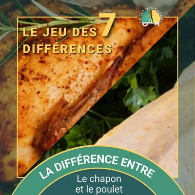 [Le jeu des 7 différences] - Chapon et poulet