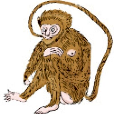 5-9-② 中山经：蛇山、鬲山、隅阳山、岐山、勾檷山、风雨山