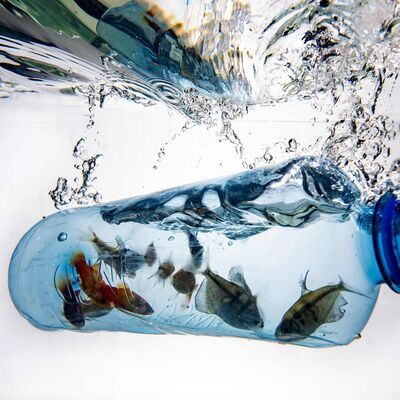 World Environment Day: How China and Africa are tackling plastic pollution