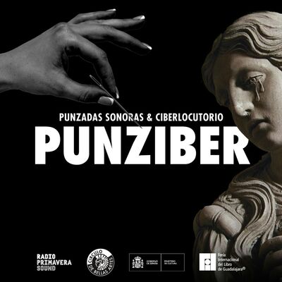 Punziber: ¿Hay alguien ahí?