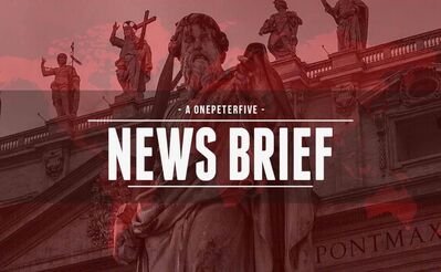 Leo XIV Approves Latin Mass in Texas Diocese