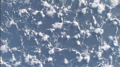 Cambridge Ideas - Just Add Water