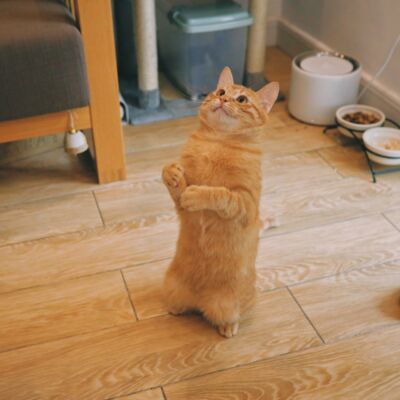 挣扎着录第032期-没错！我就是产品经理！