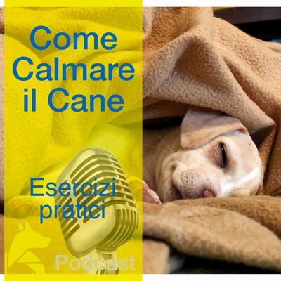 Come Calmare il Cane