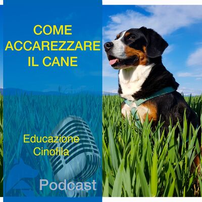 Come Accarezzare il Cane