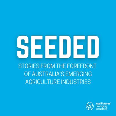 SEEDED: Coffee