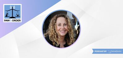 #56: 14 Years of Animal Law – a Conversation with Siobhan O’Sullivan