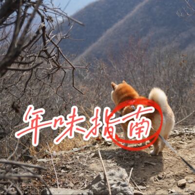 年味指南 | 多说一点小李：年味是爽口解腻的泡菜味儿