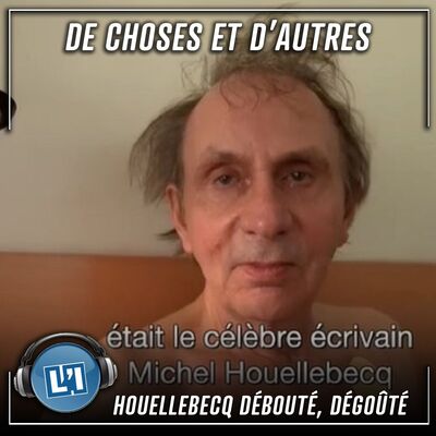 Houellebecq débouté, dégoûté - S04E144