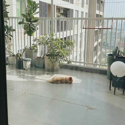 #25 - người lớn cô đơn