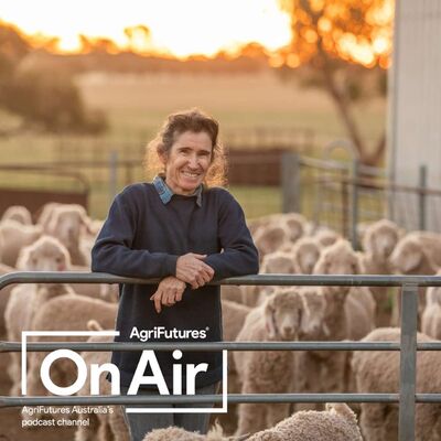 Integrating Angoras with Merinos: A Conversation with Dr. Susan Robertson