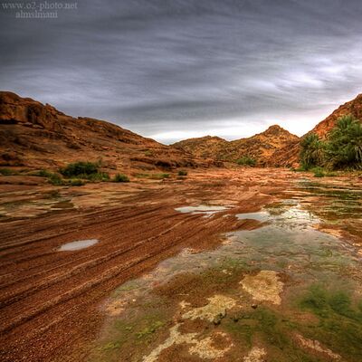 حايل مهي حايل - أبو بلال الذرفي