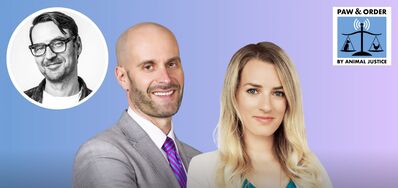 #71: Adventures of a Farm Animal Protection Lawyer With Peter Brandt
