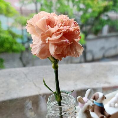 EP.21 音樂劇介紹及歌曲欣賞