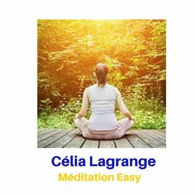 17. Méditation Guidée Sur Le Va Et Vient Du Souffle En Comptant Sa Respiration