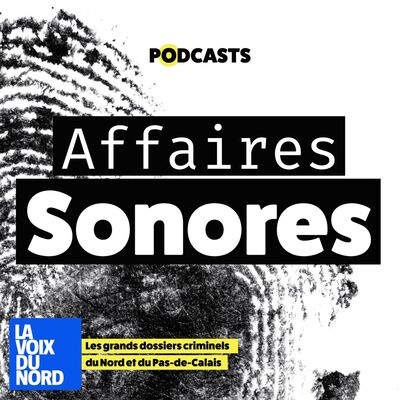 L'affaire Angélique - Le récit