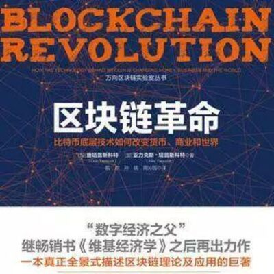 区块链入门27_区块链的理性繁荣