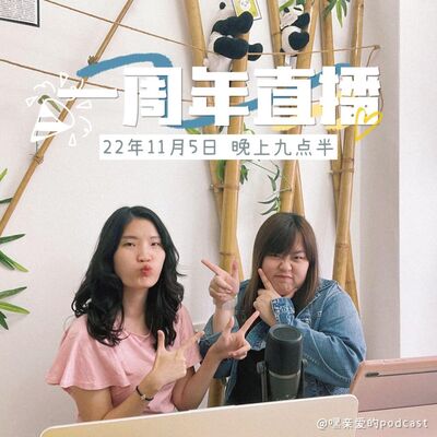 EP49 | <特辑>一周年直播：大大爆料来袭！