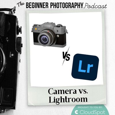 Photo Q&A: Why Do My Photos Look Different on My Camera vs. Lightroom?