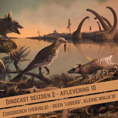 Zoogdieren (vervolg): geen 'losers' maar kleine ninja's