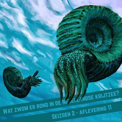 Wat zwom er rond in de Nederlandse krijtzee?