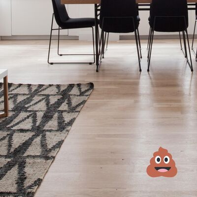 The Poop on the Floor Committee - #76