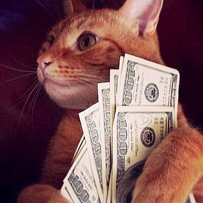 NO.30浮夸男女诊疗室——守财奴的病