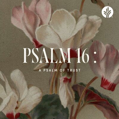 214. Psalm 16: A Psalm of Trust | Discover the Word Podcast