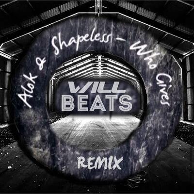 Alok & Shapeless - Who Gives ( Dj Will Beats Remix )