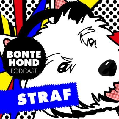 2.9 De Puppy Podcast van BonteHond - Straf