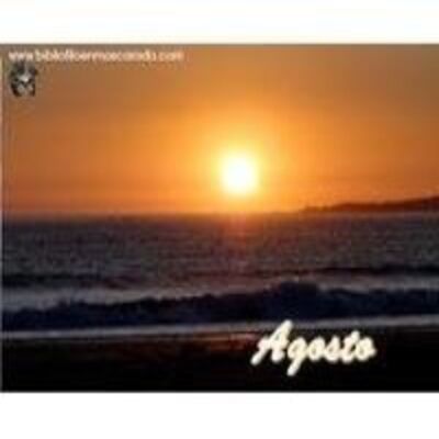 Alineándonos con las Energías de Agosto 2013