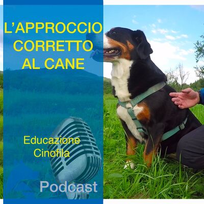 Come Approcciare il Cane