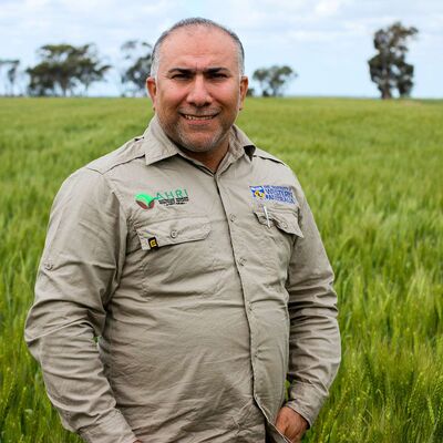 How phase farming can reduce an annual ryegrass seedbank