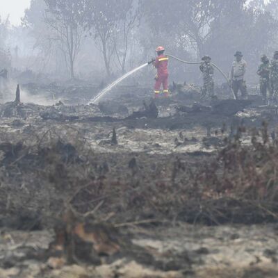 Vol 32 . 气候与健康：印尼大火，能“烧”到何处？