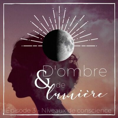#3: Niveaux de conscience