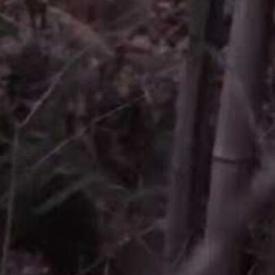 Chanler & Paul Are On Tonight Recounting More Of Their Encounters W Entities & More...