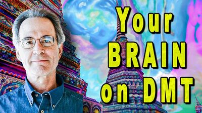 Dr Rick Strassman | DMT: The Spirit Molecule