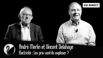 André Merlin et Vincent Delahaye : Électricité : Les prix vont-ils exploser ?