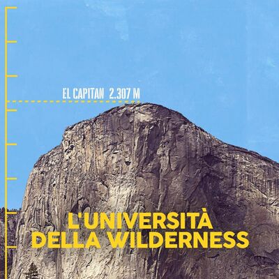 L'università della wilderness