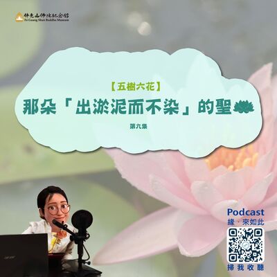 那朵「出淤泥而不染」的聖花