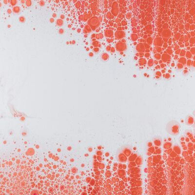 THE (US) BODY POLITIC