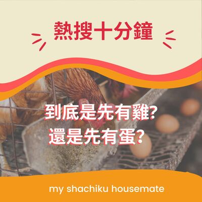 《熱搜十分鐘》—— 到底是先有鷄，還是先有蛋？